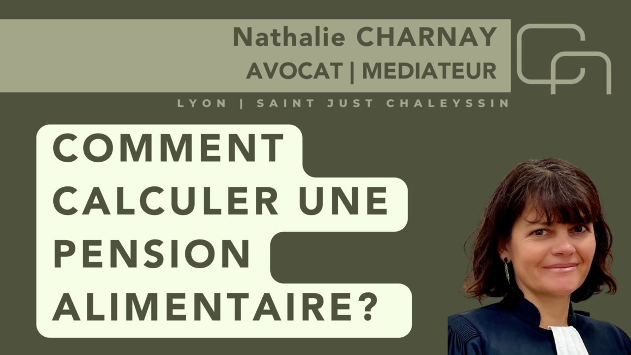 COMMENT CALCULER UNE PENSION ALIMENTAIRE? Nathalie Charnay Avocat Lyon